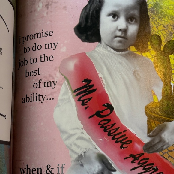 "I'm Dangerous and I'm Not Gonna Lie" Hardcover Book by Erin Smith - Picture 6 of 10